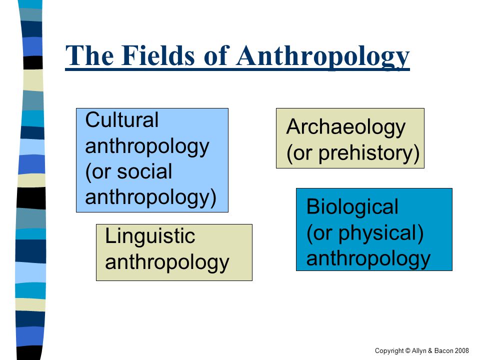ANTHROPOLOGICAL THEORIES